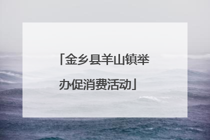 金乡县羊山镇举办促消费活动