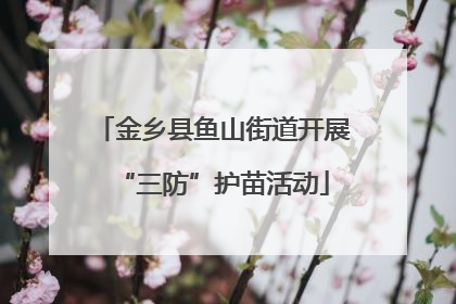 金乡县鱼山街道开展“三防”护苗活动