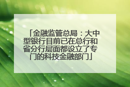 金融监管总局：大中型银行目前已在总行和省分行层面都设立了专门的科技金融部门