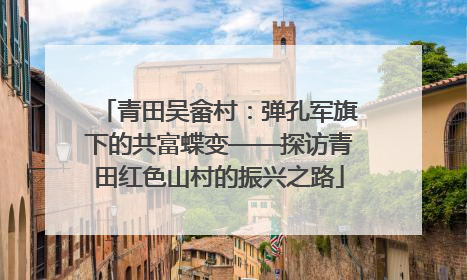 青田吴畲村：弹孔军旗下的共富蝶变——探访青田红色山村的振兴之路