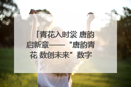 青花入时裳 唐韵启新章——“唐韵青花 数创未来”数字文创设计大赛启幕
