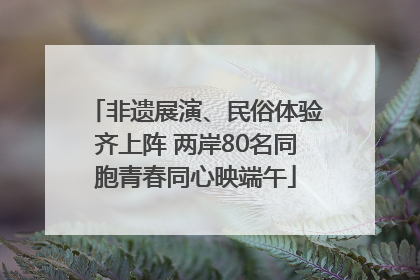 非遗展演、民俗体验齐上阵 两岸80名同胞青春同心映端午