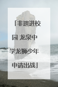 非遗进校园 龙泉中学龙狮少年申请出战
