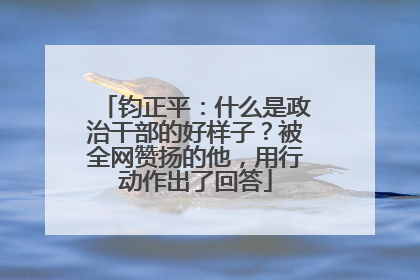 钧正平：什么是政治干部的好样子？被全网赞扬的他，用行动作出了回答