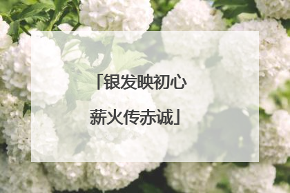 银发映初心 薪火传赤诚