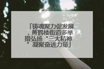 铸魂聚力促发展，黄鹤楼街道多举措弘扬“三大精神”凝聚奋进力量