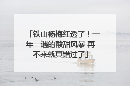 铁山杨梅红透了！一年一遇的酸甜风暴 再不来就真错过了