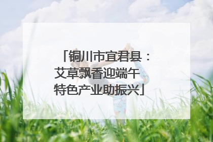 铜川市宜君县：艾草飘香迎端午 特色产业助振兴