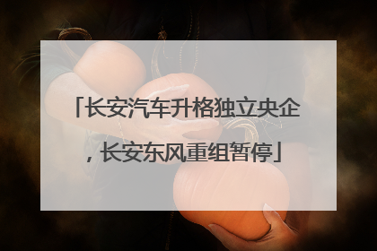 长安汽车升格独立央企，长安东风重组暂停