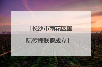 长沙市雨花区国际传播联盟成立