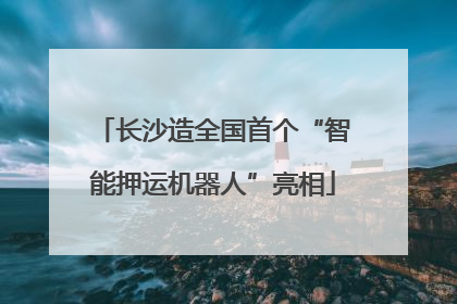 长沙造全国首个“智能押运机器人”亮相