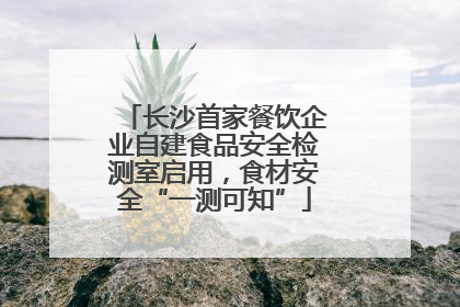 长沙首家餐饮企业自建食品安全检测室启用，食材安全“一测可知”