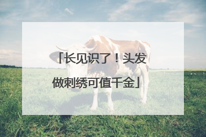 长见识了！头发做刺绣可值千金
