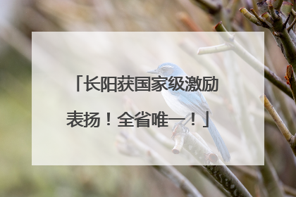长阳获国家级激励表扬！全省唯一！