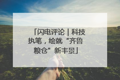 闪电评论｜科技执笔，绘就“齐鲁粮仓”新丰景
