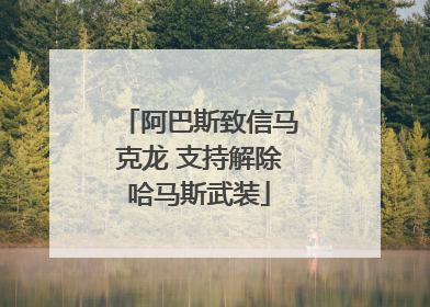 阿巴斯致信马克龙 支持解除哈马斯武装