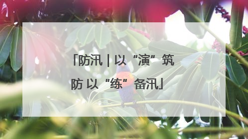 防汛｜以“演”筑防 以“练”备汛
