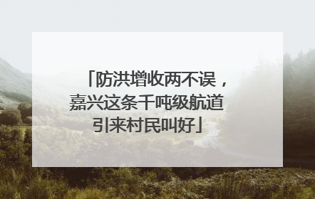 防洪增收两不误，嘉兴这条千吨级航道引来村民叫好