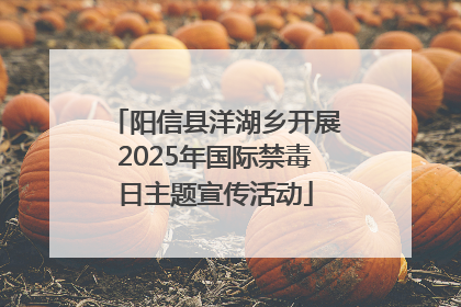 阳信县洋湖乡开展2025年国际禁毒日主题宣传活动