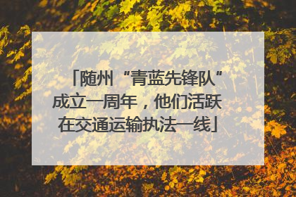 随州“青蓝先锋队”成立一周年，他们活跃在交通运输执法一线