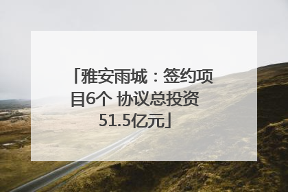 雅安雨城：签约项目6个 协议总投资51.5亿元