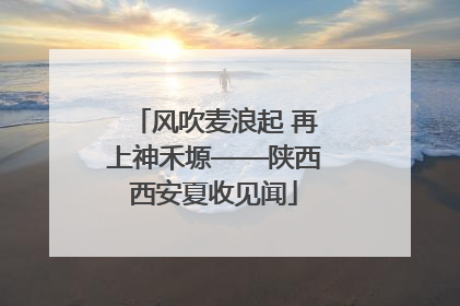 风吹麦浪起 再上神禾塬——陕西西安夏收见闻
