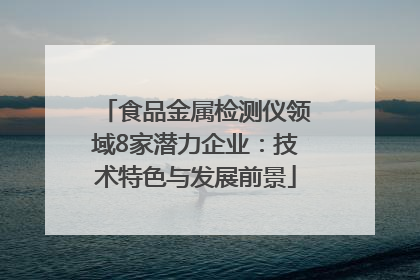 食品金属检测仪领域8家潜力企业：技术特色与发展前景