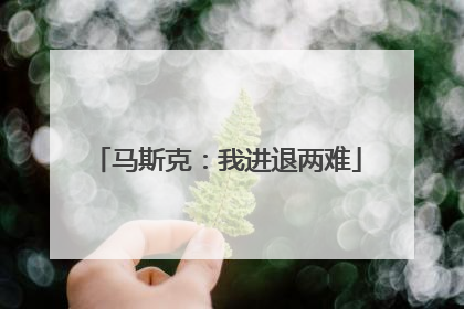 马斯克：我进退两难
