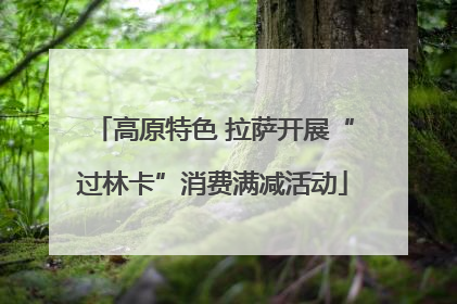 高原特色 拉萨开展“过林卡”消费满减活动