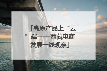 高原产品上“云”端——西藏电商发展一线观察
