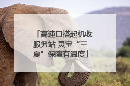 高速口搭起机收服务站 灵宝“三夏”保障有温度