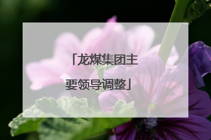 龙煤集团主要领导调整