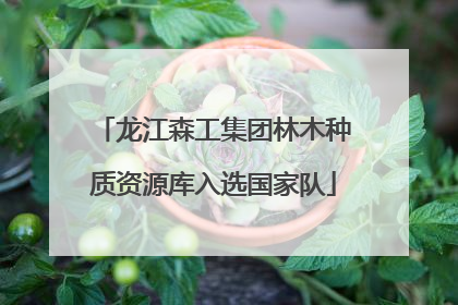 龙江森工集团林木种质资源库入选国家队