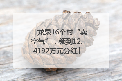 龙泉16个村“卖空气”，领到12.4192万元分红