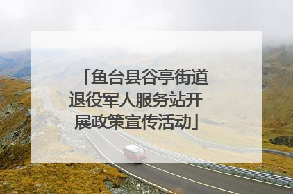 鱼台县谷亭街道退役军人服务站开展政策宣传活动