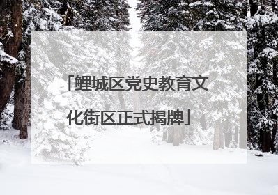 鲤城区党史教育文化街区正式揭牌