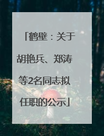 鹤壁：关于胡艳兵、郑涛等2名同志拟任职的公示