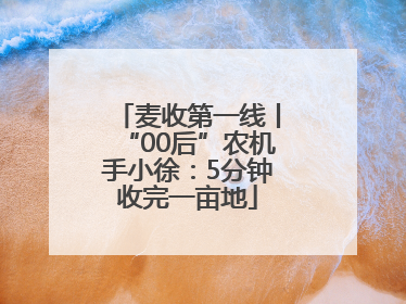 麦收第一线丨“00后”农机手小徐：5分钟收完一亩地