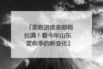 麦收进度条即将拉满！看今年山东麦收季的新变化