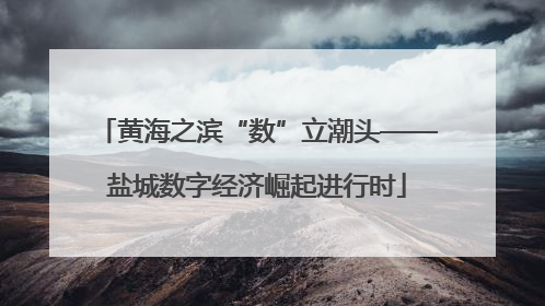 黄海之滨“数”立潮头——盐城数字经济崛起进行时