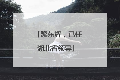 黎东辉，已任湖北省领导