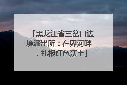 黑龙江省三岔口边境派出所：在界河畔，扎根红色沃土