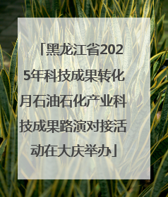 黑龙江省2025年科技成果转化月石油石化产业科技成果路演对接活动在大庆举办
