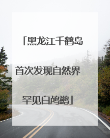 黑龙江千鹤岛首次发现自然界罕见白鸬鹚