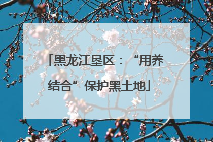 黑龙江垦区：“用养结合”保护黑土地