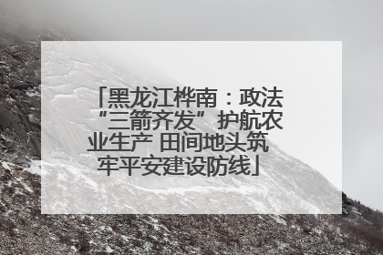 黑龙江桦南：政法“三箭齐发”护航农业生产 田间地头筑牢平安建设防线