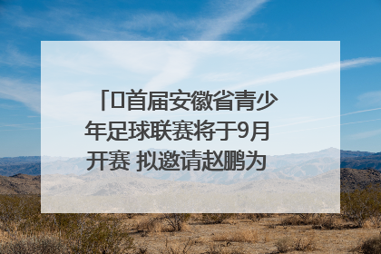 ﻿首届安徽省青少年足球联赛将于9月开赛 拟邀请赵鹏为先导赛开球