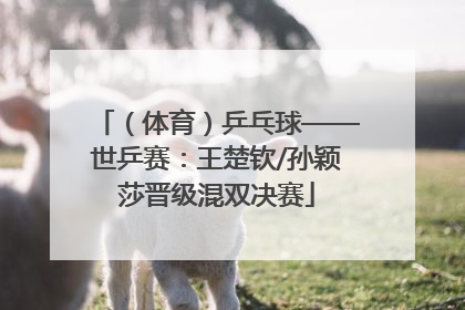 （体育）乒乓球——世乒赛：王楚钦/孙颖莎晋级混双决赛