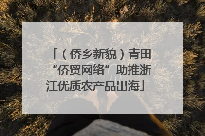 （侨乡新貌）青田“侨贸网络”助推浙江优质农产品出海