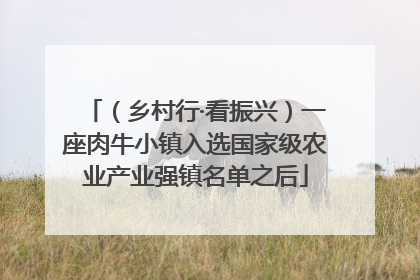 （乡村行·看振兴）一座肉牛小镇入选国家级农业产业强镇名单之后